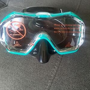 Black and Teal Goggles